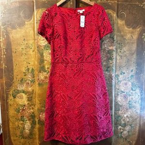 Brooks Brothers Red Lace Holiday Dress